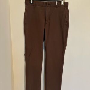 Everlane Dark Brown Chinos